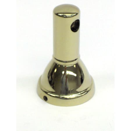 A large image of the TOTO 1FU4065 Polished Brass