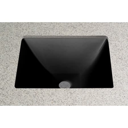 A large image of the TOTO LT624 Ebony