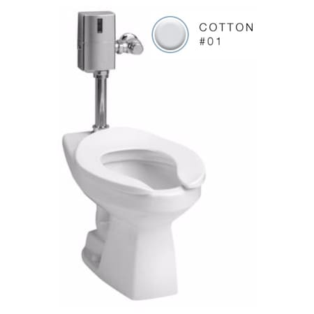 A large image of the TOTO CE705L-1GN-534 Cotton
