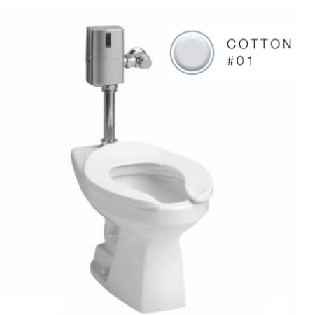 A large image of the TOTO CT705ENG Cotton