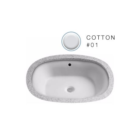 A large image of the TOTO LT481G Cotton