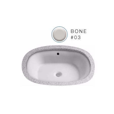 A large image of the TOTO LT481G Bone