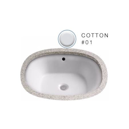 A large image of the TOTO LT483G Cotton