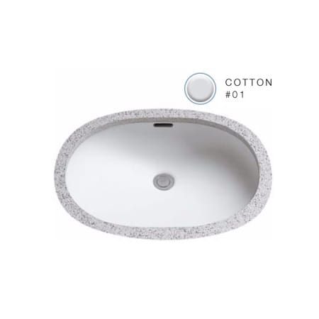 A large image of the TOTO LT546G Cotton