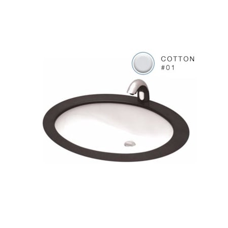 A large image of the TOTO LT569 Cotton