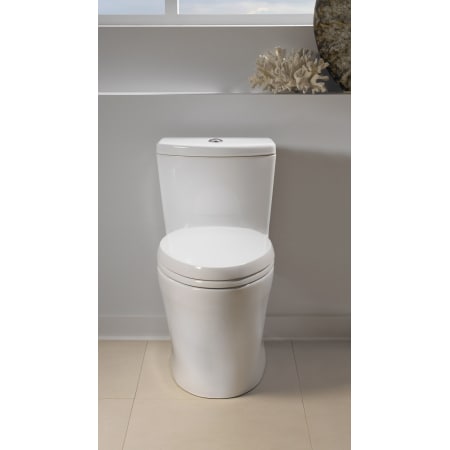 A large image of the TOTO MS654114MF Toto-MS654114MF-Lifestyle