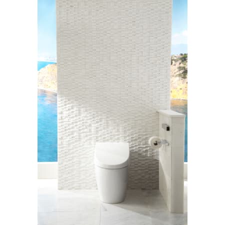 A large image of the TOTO MS982CUMG Toto-MS982CUMG-Lifestyle