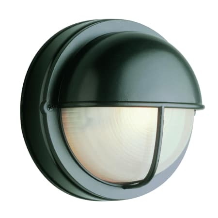A large image of the Trans Globe Lighting 4120 Black