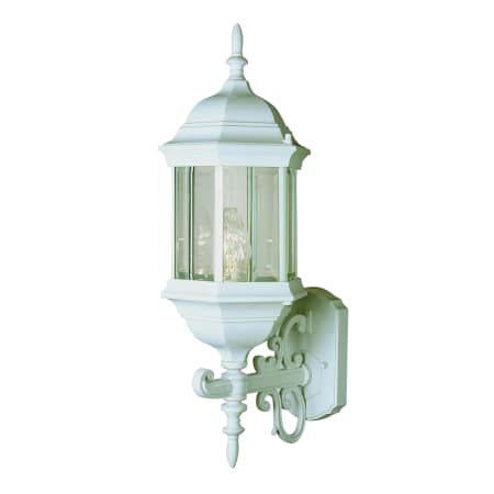 A large image of the Trans Globe Lighting 4351 White