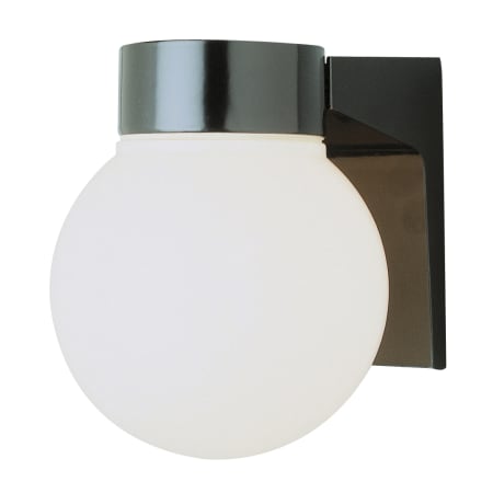 A large image of the Trans Globe Lighting 4800 Black