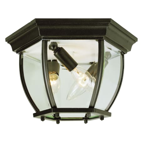 A large image of the Trans Globe Lighting 4906 Black