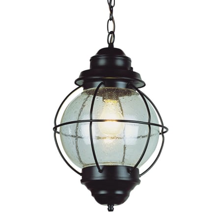 A large image of the Trans Globe Lighting 69906 Black