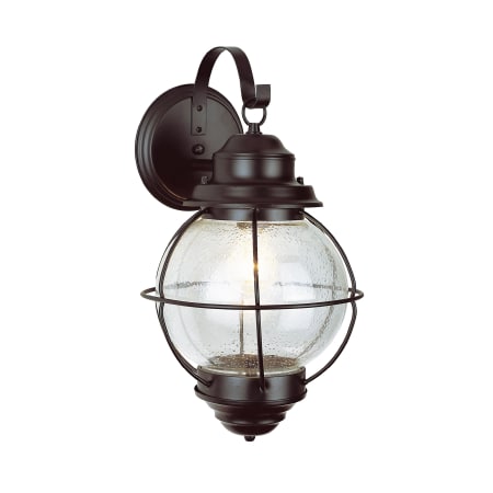 A large image of the Trans Globe Lighting 69901 Trans Globe Lighting-69901-clean