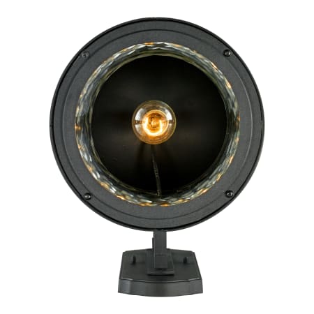 A large image of the Trans Globe Lighting 40372 Alternate Image