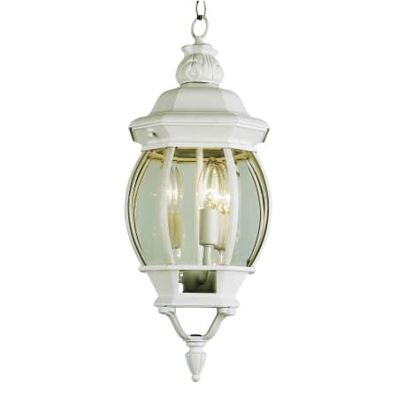 A large image of the Trans Globe Lighting 4066 White