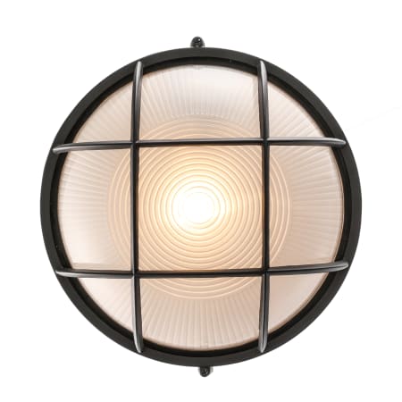 A large image of the Trans Globe Lighting 41515 Alternate Image