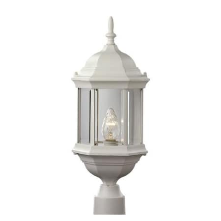 A large image of the Trans Globe Lighting 4352 White