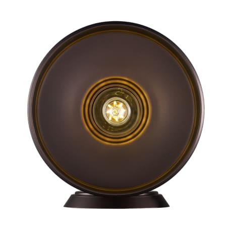 A large image of the Trans Globe Lighting 51321 Alternate Image