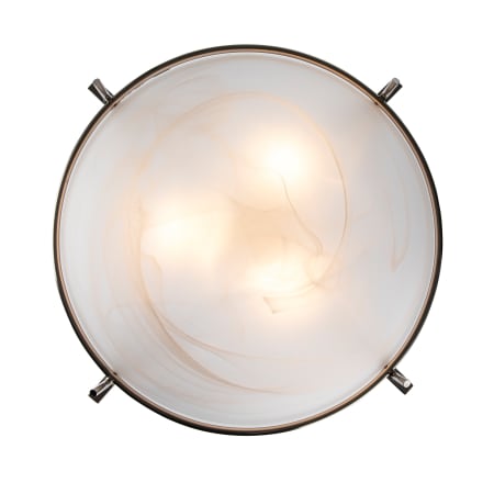 A large image of the Trans Globe Lighting 8177 Alternate Image