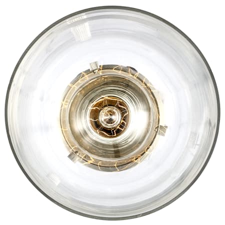 A large image of the Trans Globe Lighting PND-1081 Alternate Image