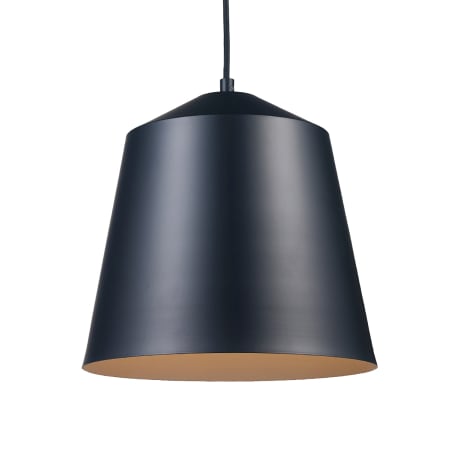 A large image of the Trans Globe Lighting PND-2163 Black