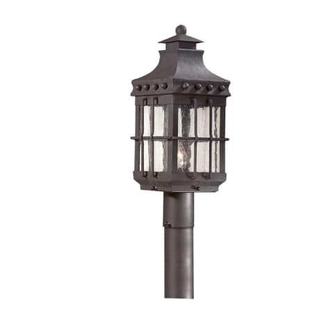 A large image of the Troy Lighting PCD8972 Natural Bronze