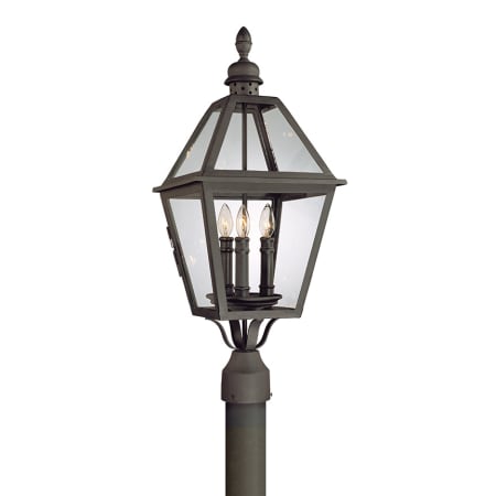 A large image of the Troy Lighting P9625 Natural Bronze