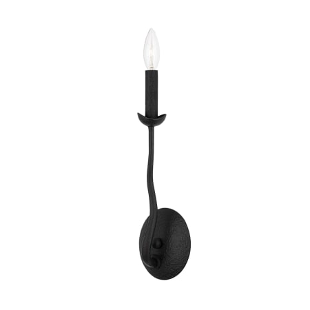 A large image of the Troy Lighting B1081 Iron Black