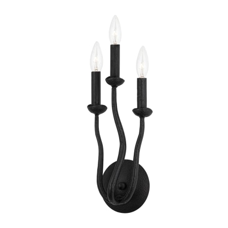 A large image of the Troy Lighting B1083 Iron Black