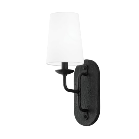 A large image of the Troy Lighting B1621 Iron Black