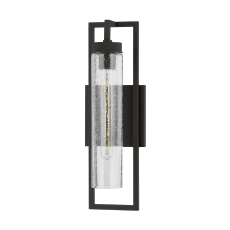 A large image of the Troy Lighting B2818 Textured Black