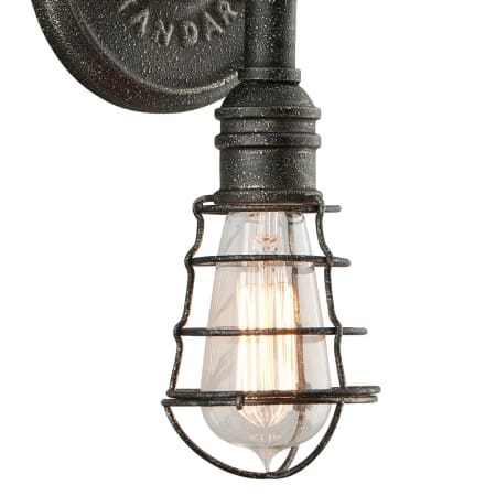A large image of the Troy Lighting B3812 Detail Shot