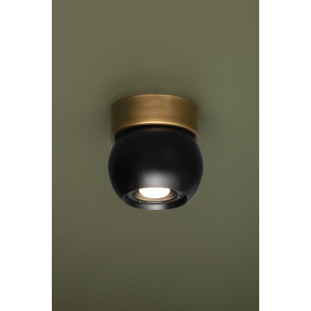A large image of the Troy Lighting C1406 Alternate Image