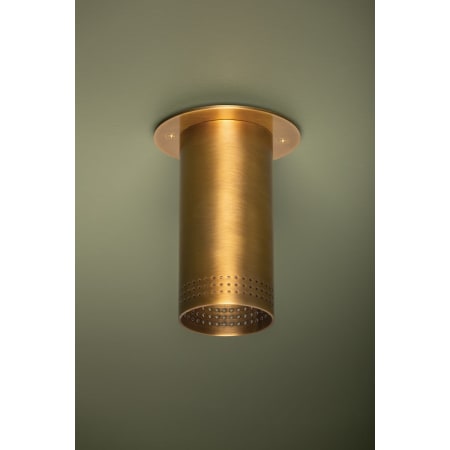A large image of the Troy Lighting C1505 Alternate Image