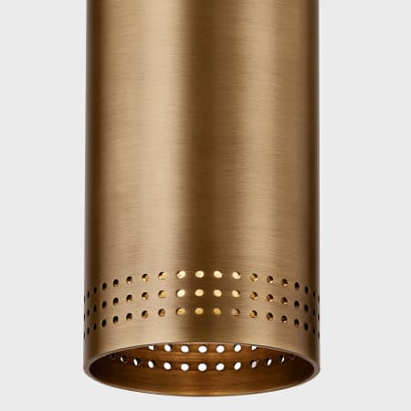 A large image of the Troy Lighting C1505 Alternate Image