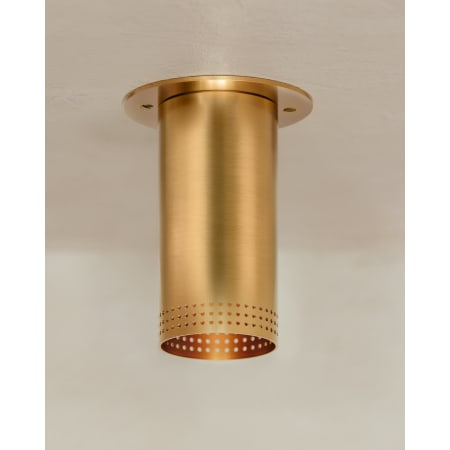 A large image of the Troy Lighting C1505 Alternate Image