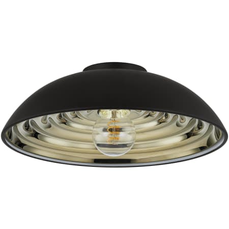 A large image of the Troy Lighting C3716 Soft Black
