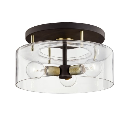 A large image of the Troy Lighting C7542 Bronze / Brass