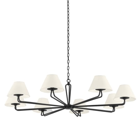 A large image of the Troy Lighting F2550 Iron Black