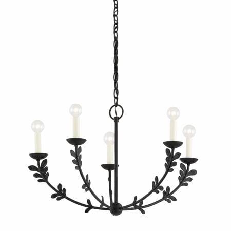 A large image of the Troy Lighting F4428 Iron Black