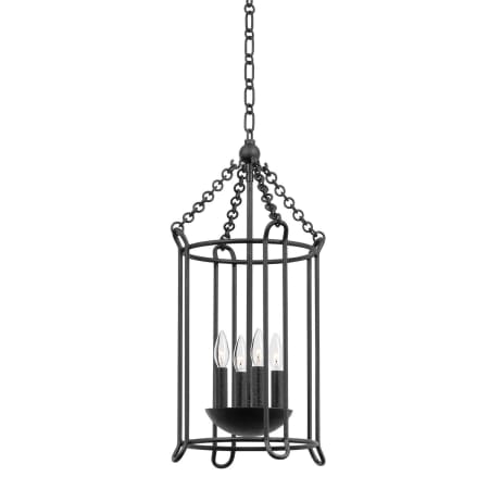 A large image of the Troy Lighting F4614 Black Iron