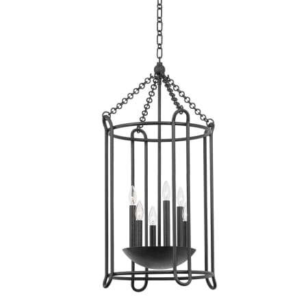 A large image of the Troy Lighting F4619 Black Iron