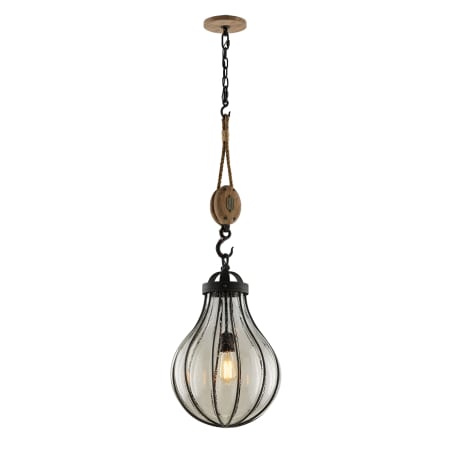 A large image of the Troy Lighting F4905 Vintage Iron