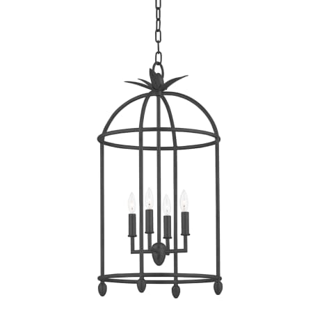 A large image of the Troy Lighting F5717 Black Iron