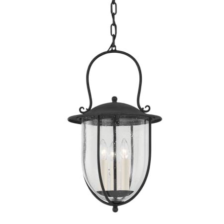 A large image of the Troy Lighting F5725 French Iron