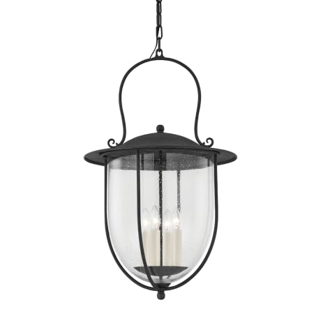 A large image of the Troy Lighting F5731 French Iron