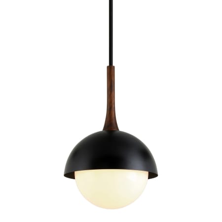 A large image of the Troy Lighting F7644 Black / Natural Acacia