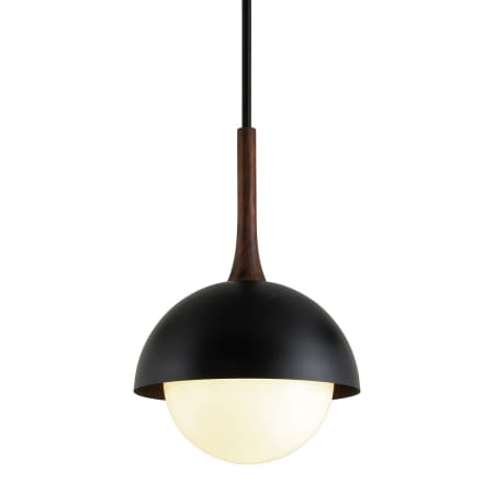 A large image of the Troy Lighting F7645 Black / Natural Acacia