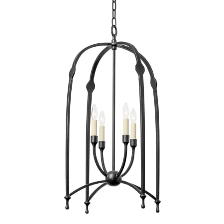 A large image of the Troy Lighting F8821 Black Iron