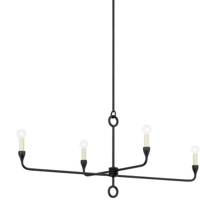 A large image of the Troy Lighting F9544 Black Iron